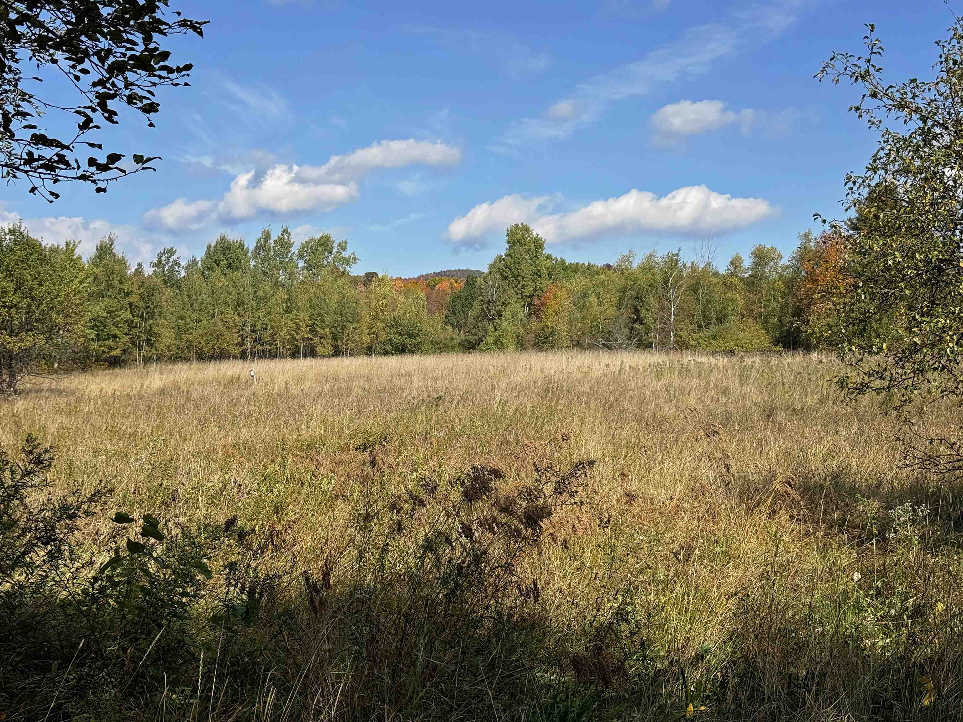 2866 Center Road Hyde Park, VT 05655 - Photo 53 of 59