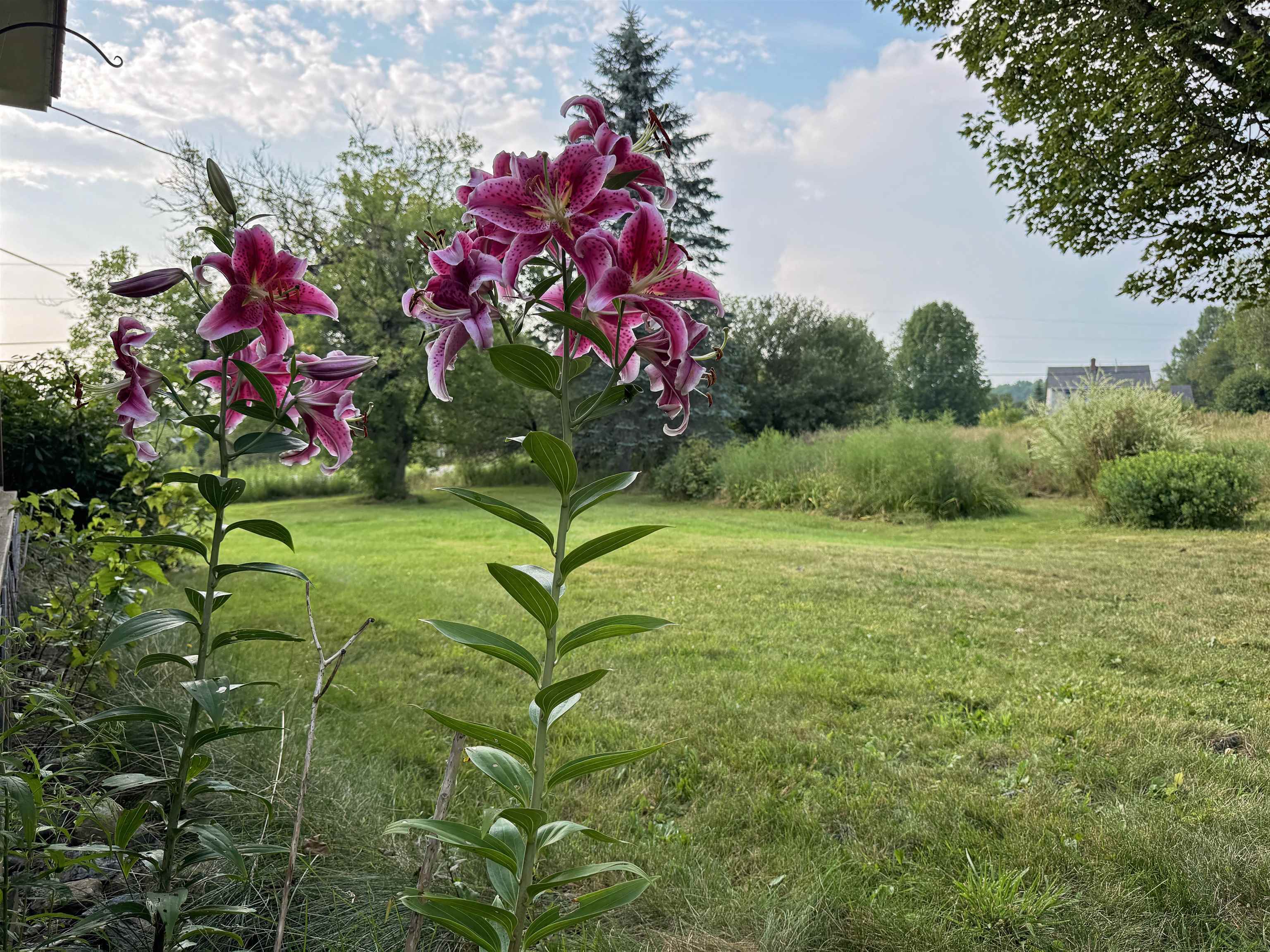 2866 Center Road Hyde Park, VT 05655 - Photo 56 of 59