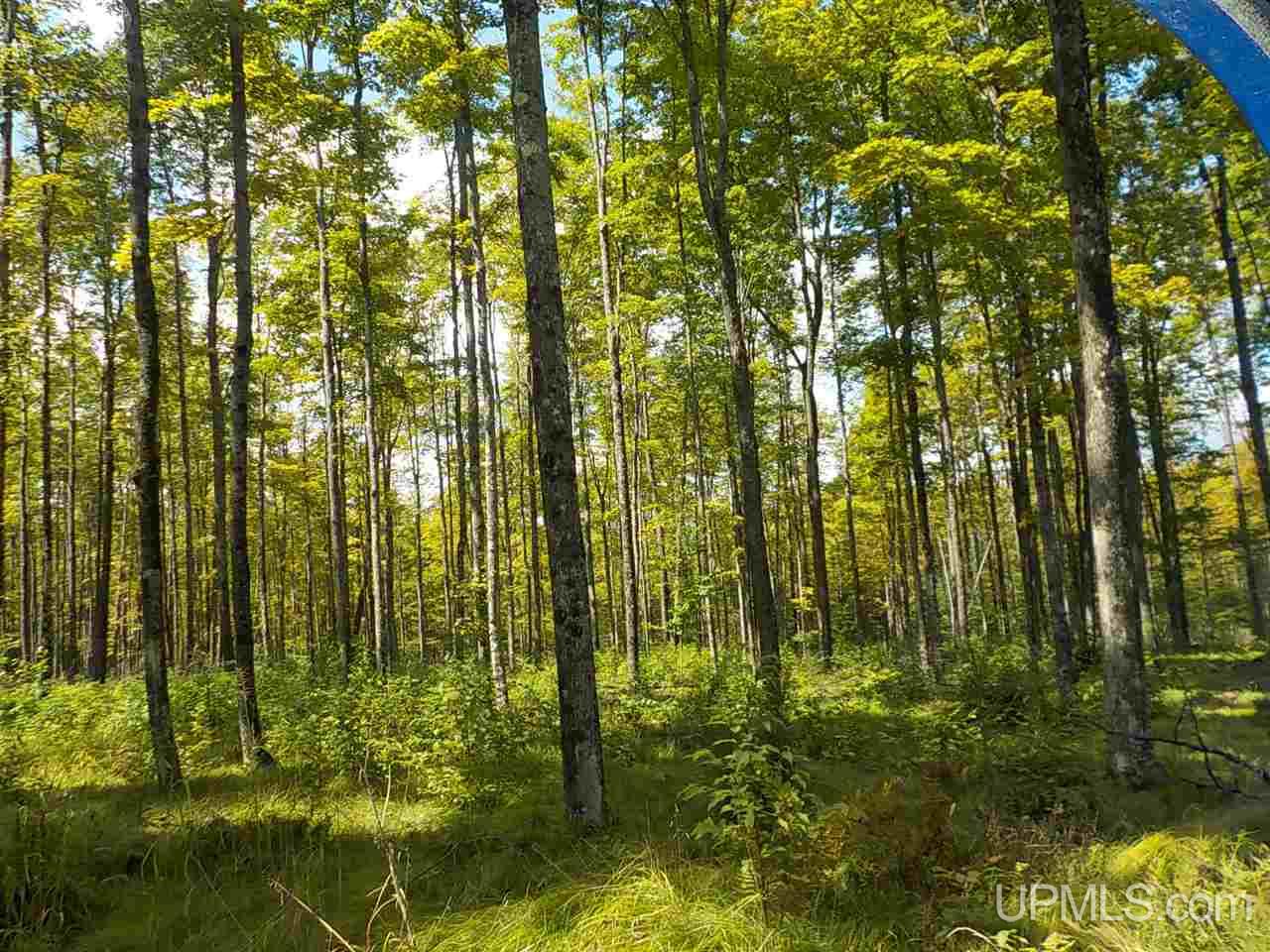 80-ac Mcclaren Road Crystal Falls, MI 49920 - Photo 3 of 27