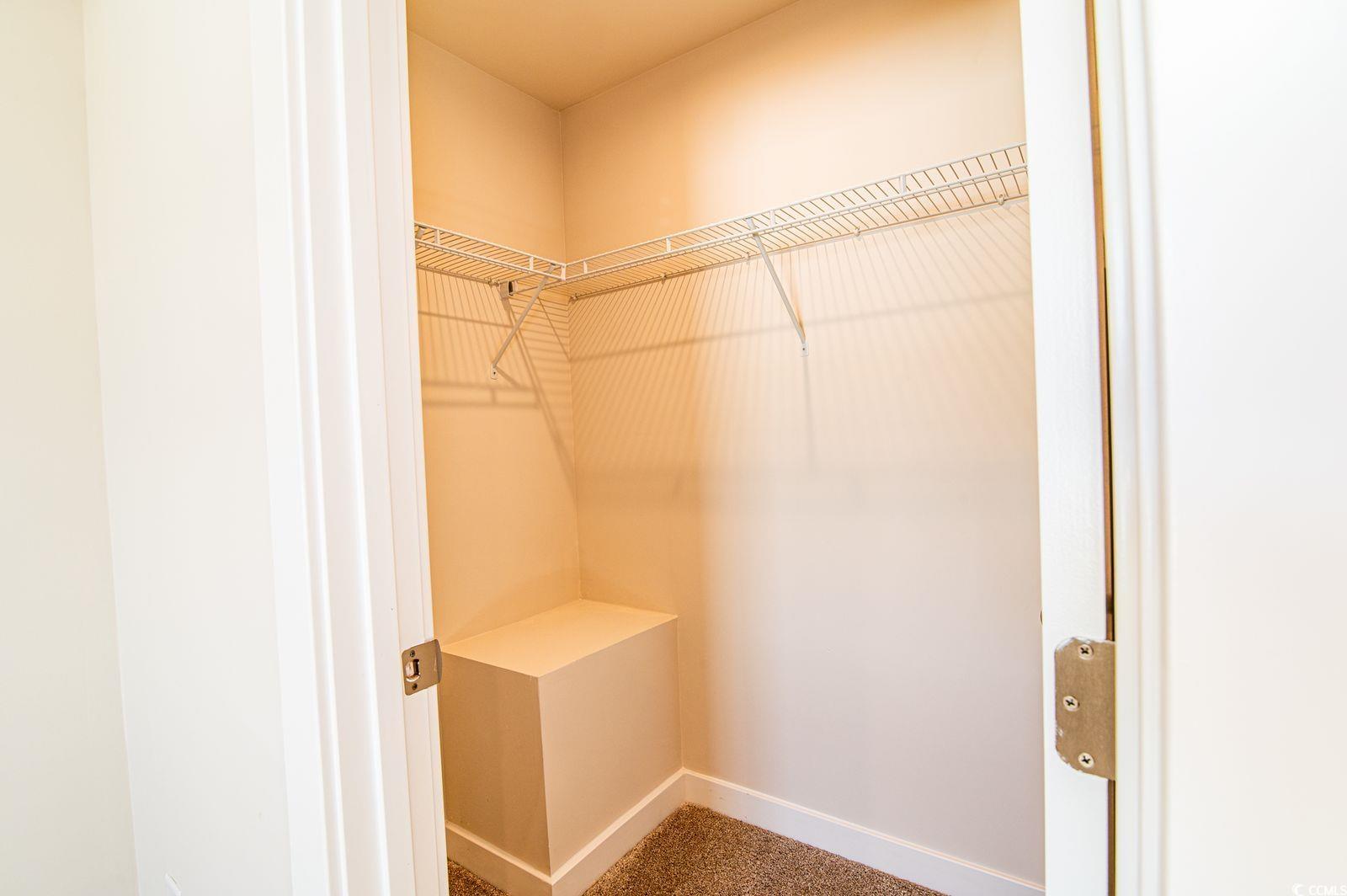 2812 Rowyn Street Longs, SC 29568 - Photo 15 of 27 Walk in closet featuring carpet flooring