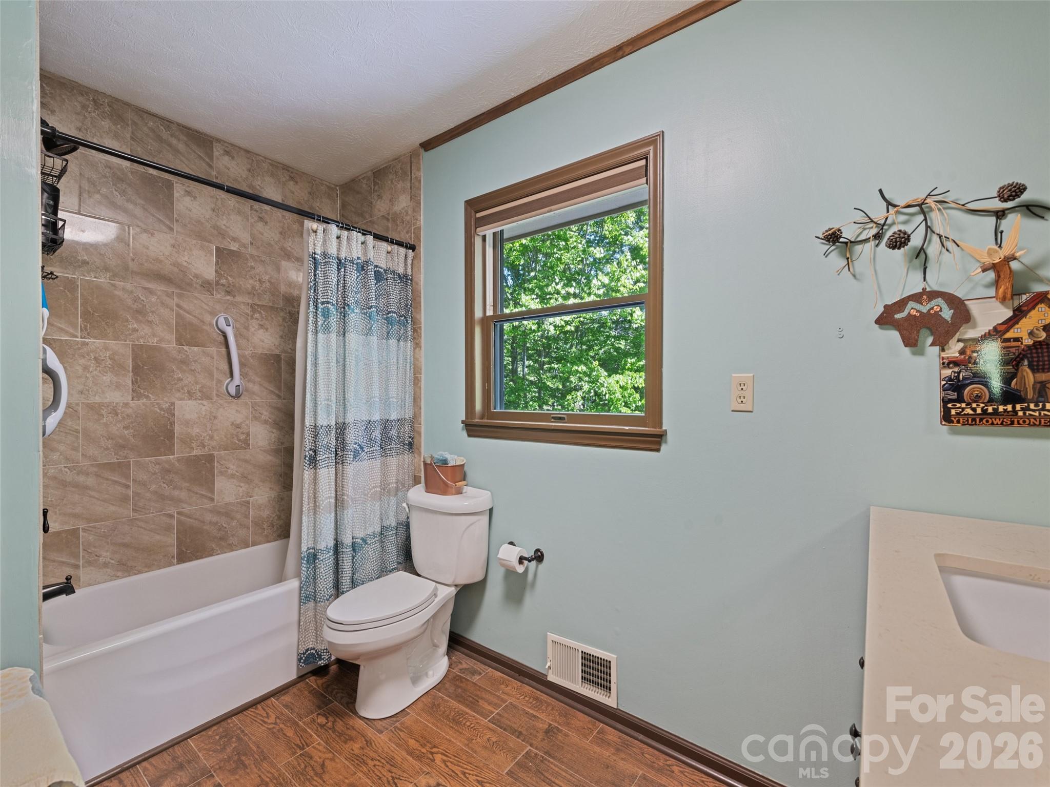 300 Kelley Springs Road Waynesville, NC 28786 - Photo 24 of 29
