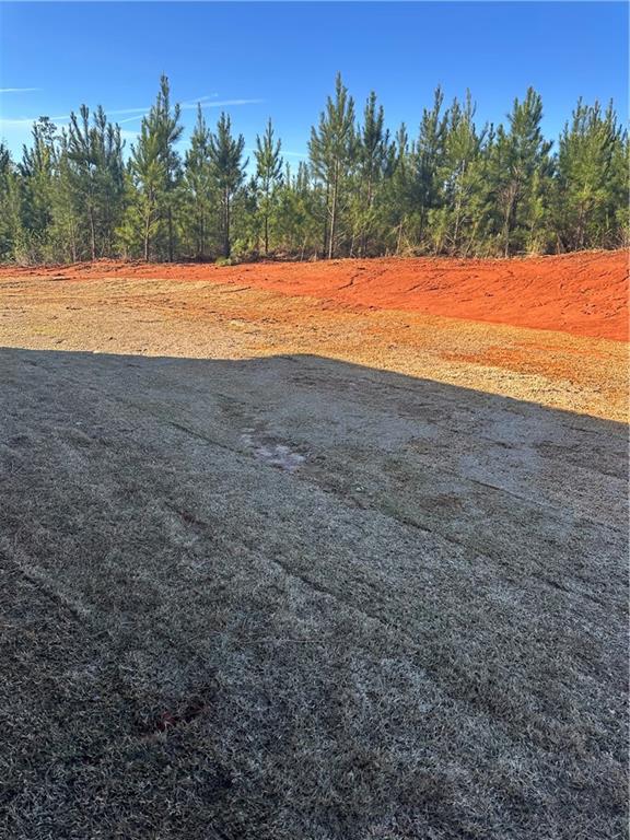 5207 Lee Road Salem, AL 36874 - Photo 21 of 23 View of yard