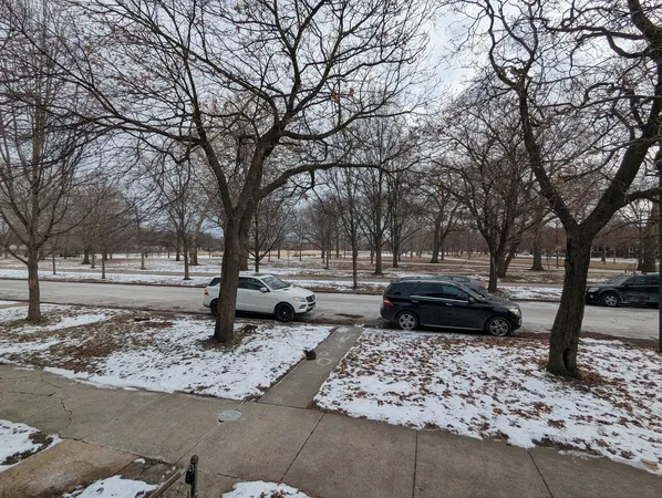 a tree in the middle of a yard
