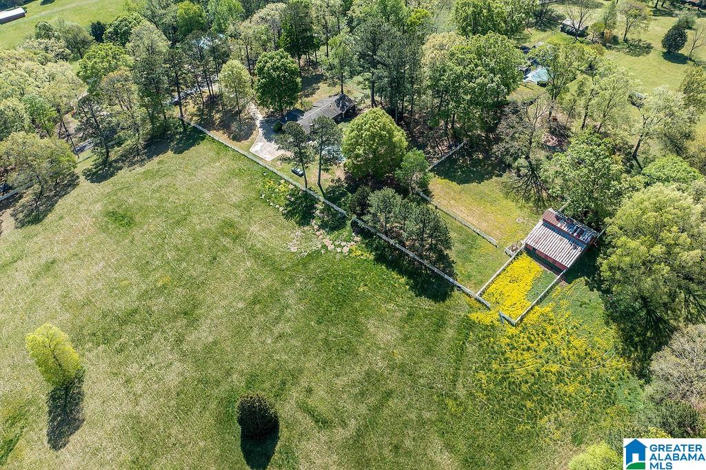 102 Burgess Drive Springville, AL 35146 - Photo 43 of 46
