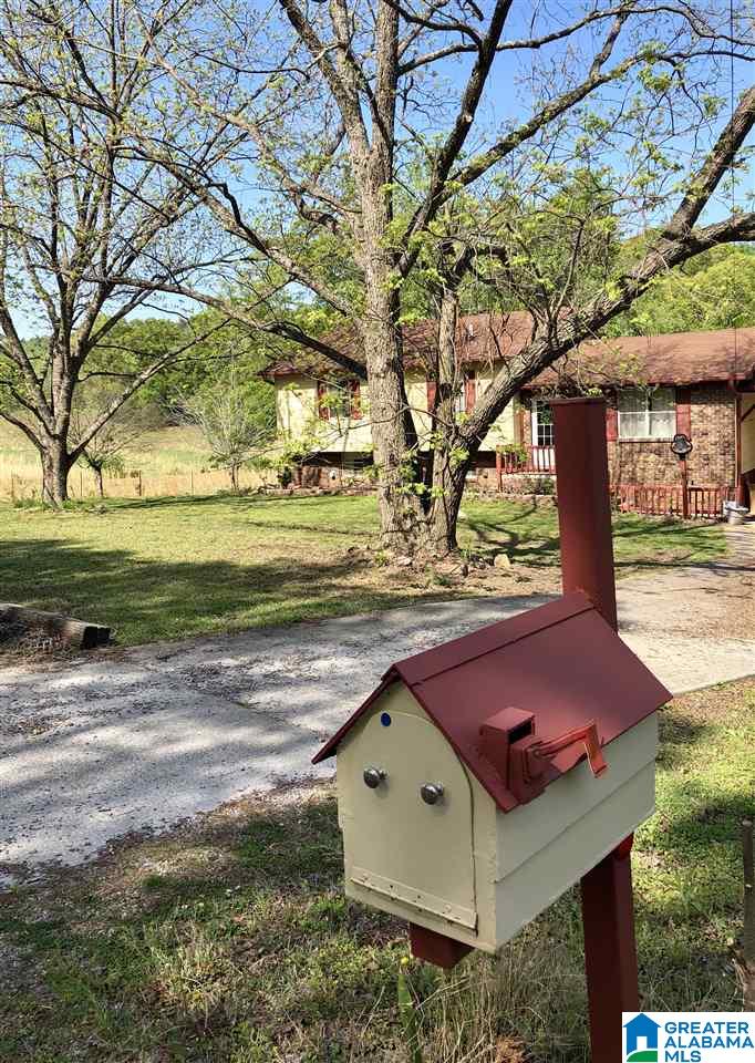 1947 Sand Valley Road Remlap, AL 35133 - Photo 33 of 35