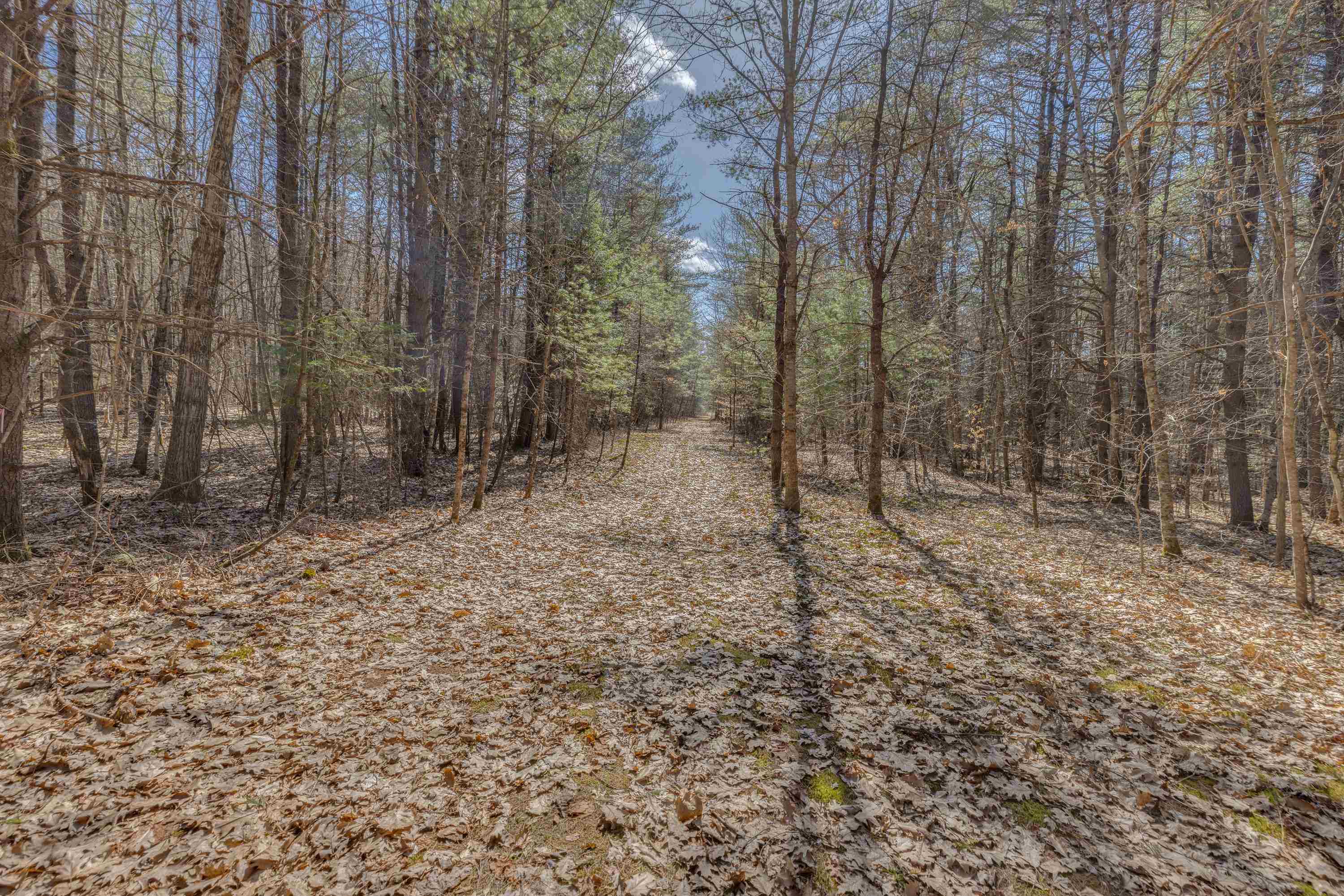 1502 River Road Lisbon, NH 03585 - Photo 5 of 34