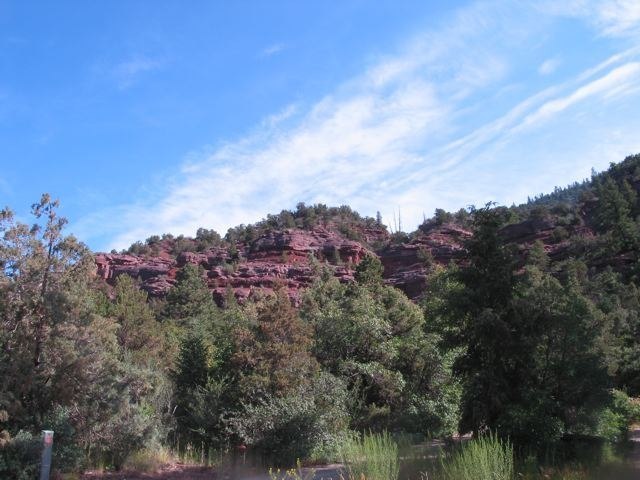 22 Red Cliff Road Placerville, CO 81430 - Photo 2 of 6 Primary Photo