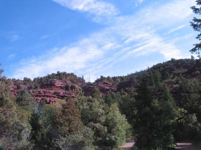 22 Red Cliff Road Placerville, CO 81430 - Photo 3 of 6 Additional Photo