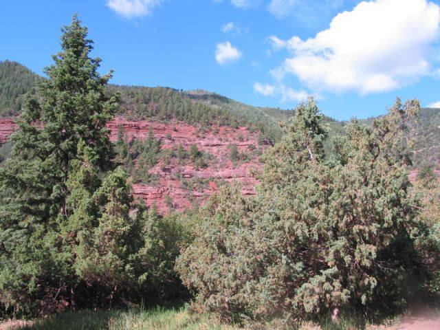 22 Red Cliff Road Placerville, CO 81430 - Photo 4 of 6 Additional Photo