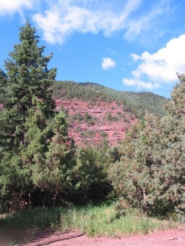 22 Red Cliff Road Placerville, CO 81430 - Photo 6 of 6 Additional Photo