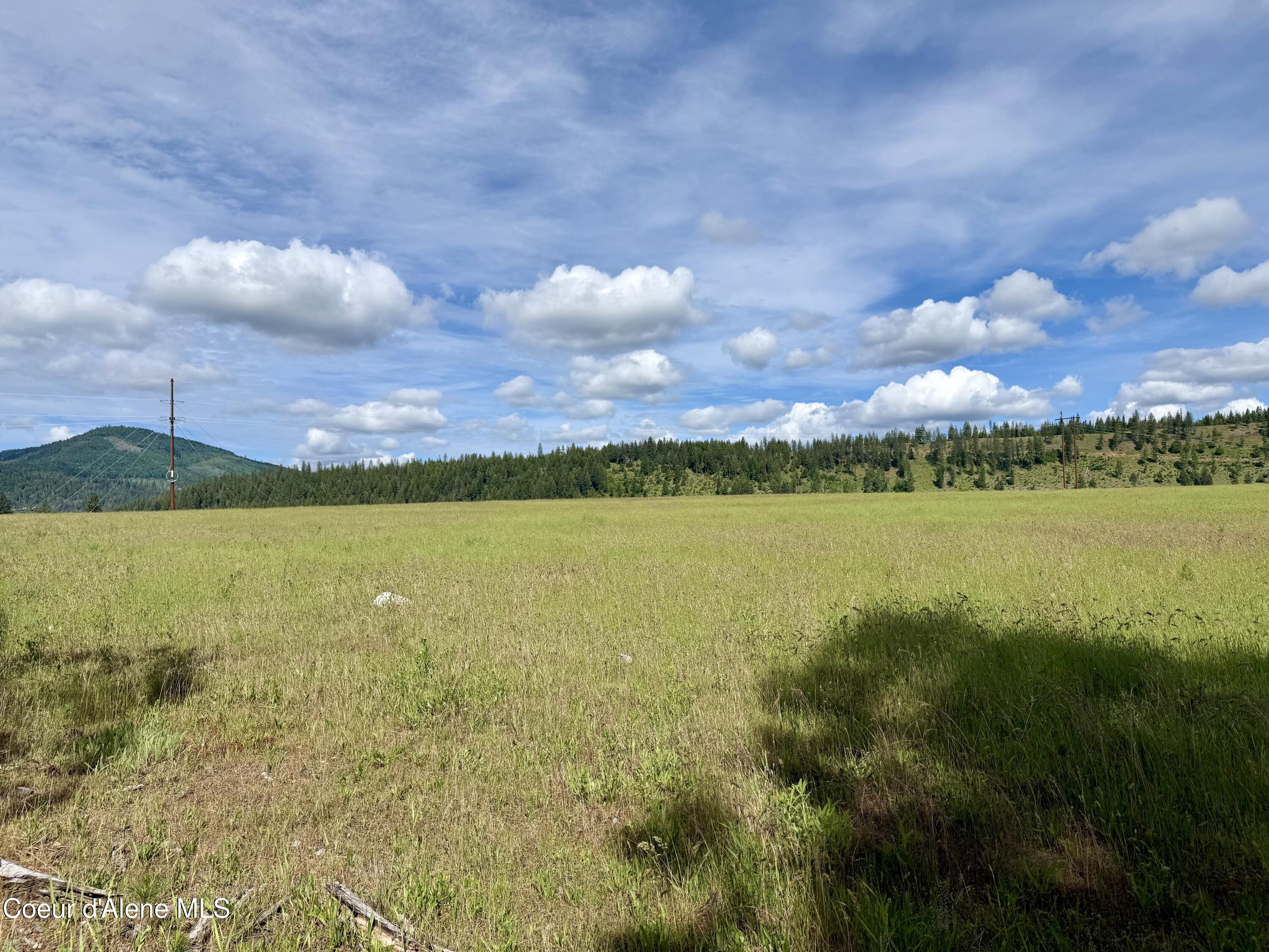 Lot 3 North Stonemason Way Rathdrum, ID 83858 - Photo 4 of 8 5 acres of usable land.