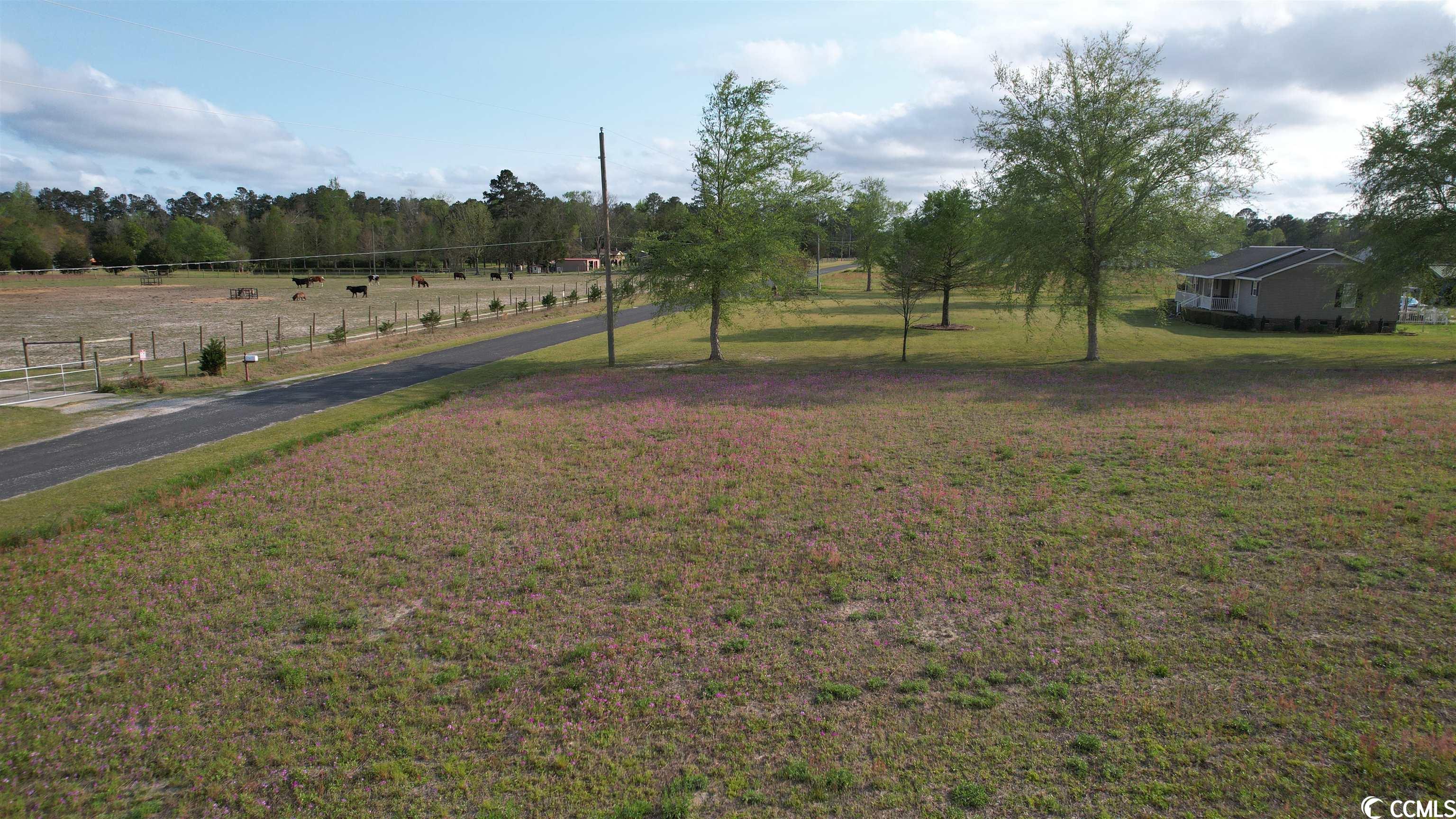 Tbd Sisters Road Loris, SC 29569 - Photo 16 of 24 Gallery Image 16