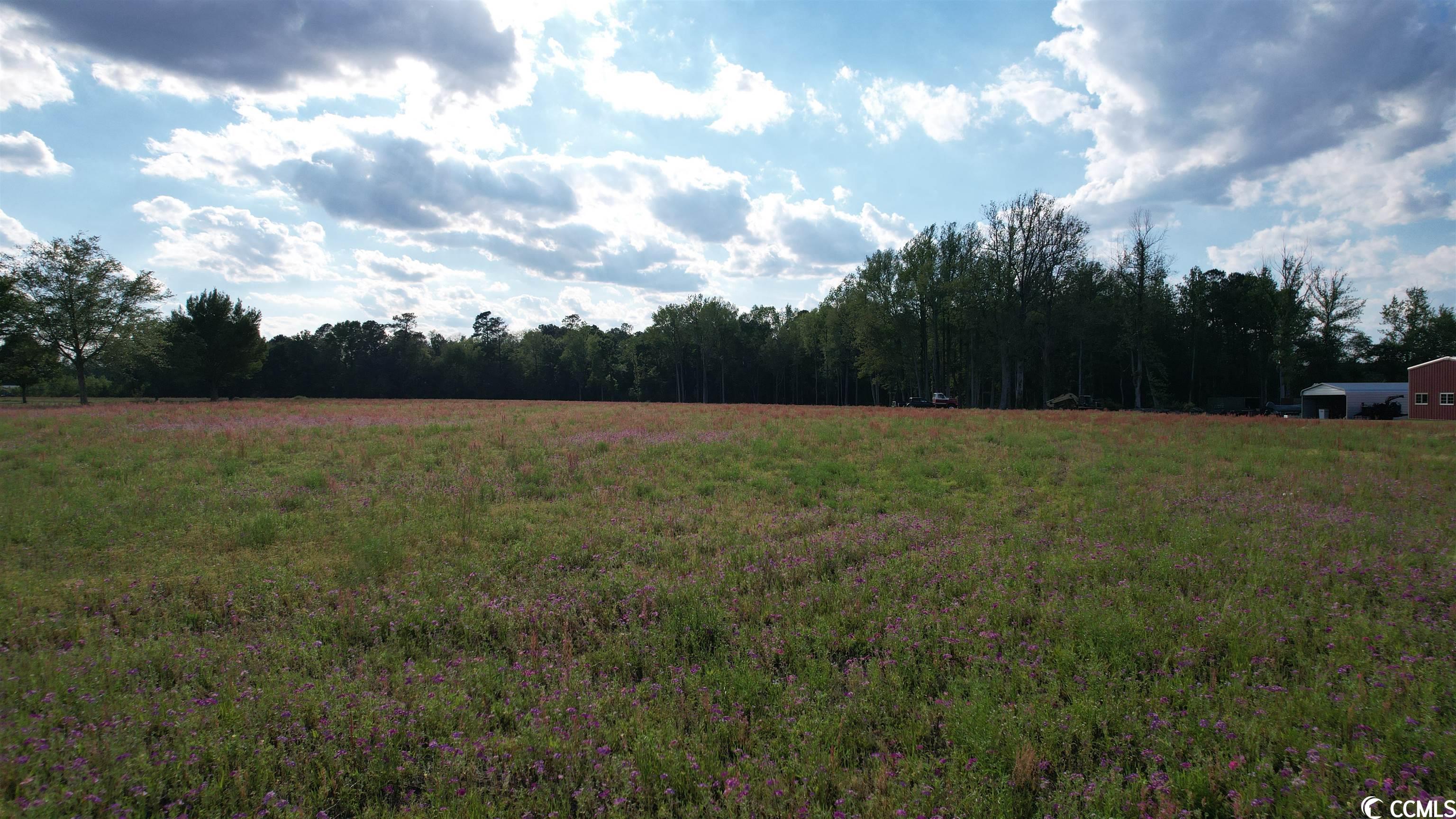 Tbd Sisters Road Loris, SC 29569 - Photo 21 of 24 Gallery Image 21