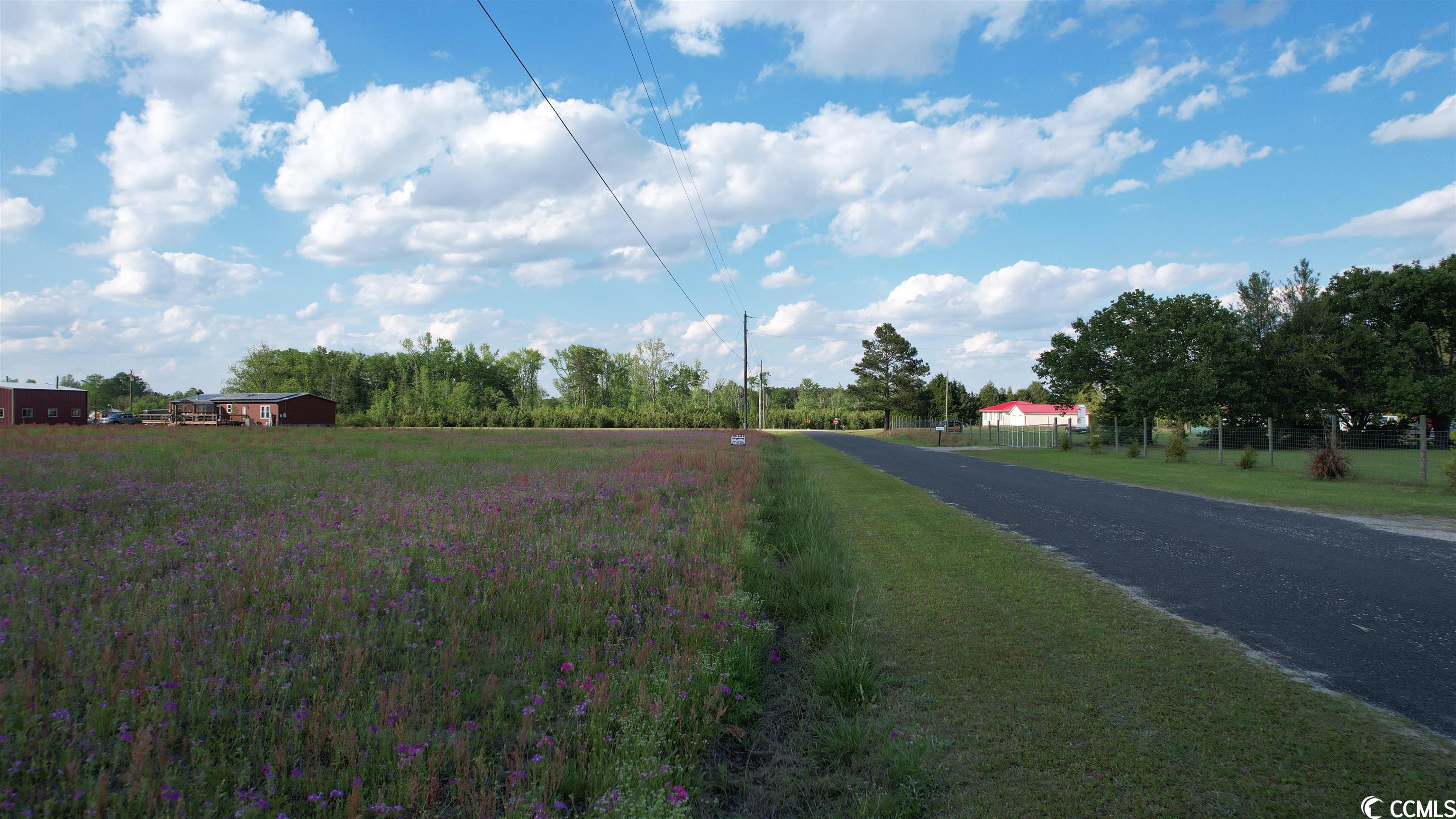 Tbd Sisters Road Loris, SC 29569 - Photo 22 of 24 Gallery Image 22