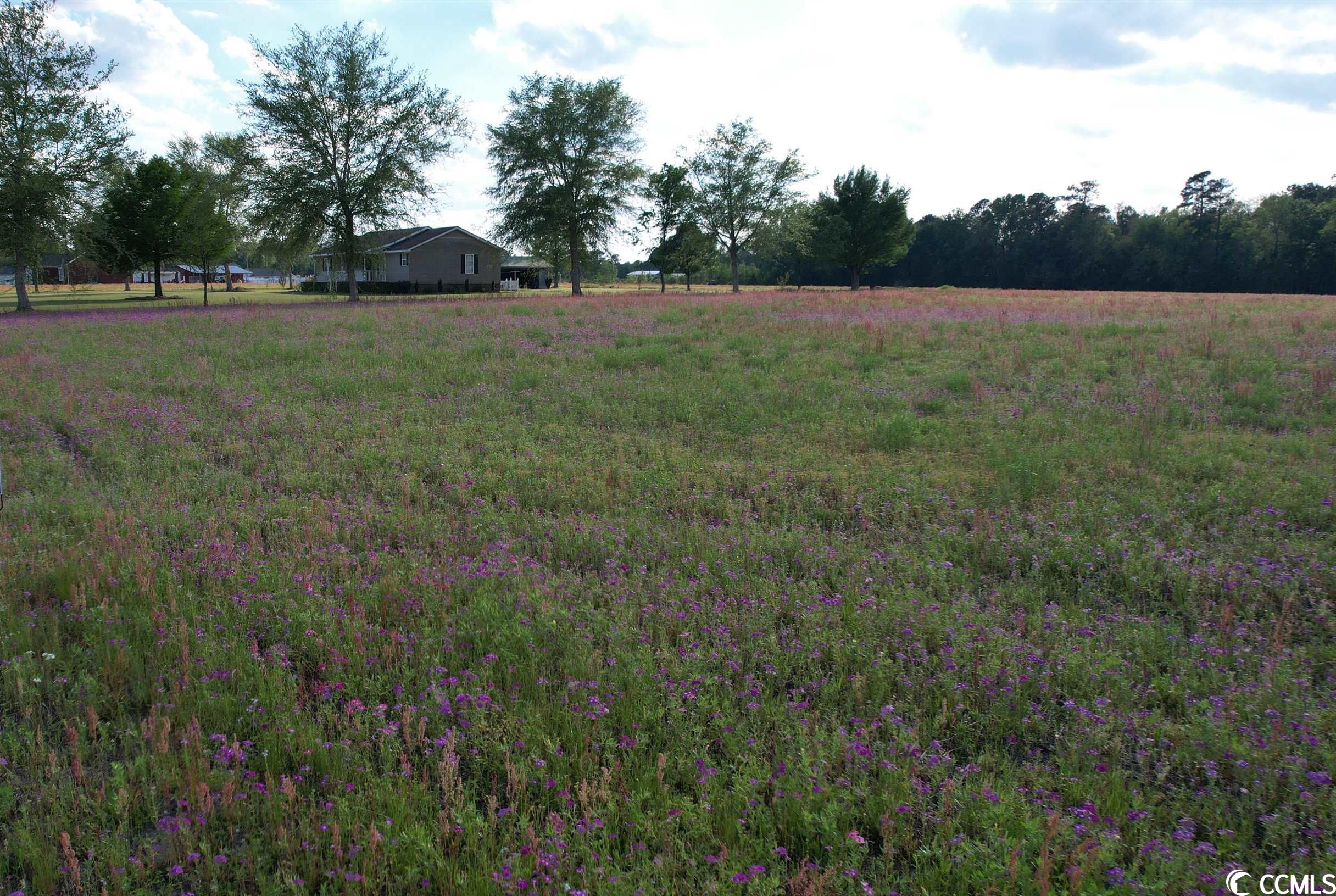 Tbd Sisters Road Loris, SC 29569 - Photo 23 of 24 Gallery Image 23