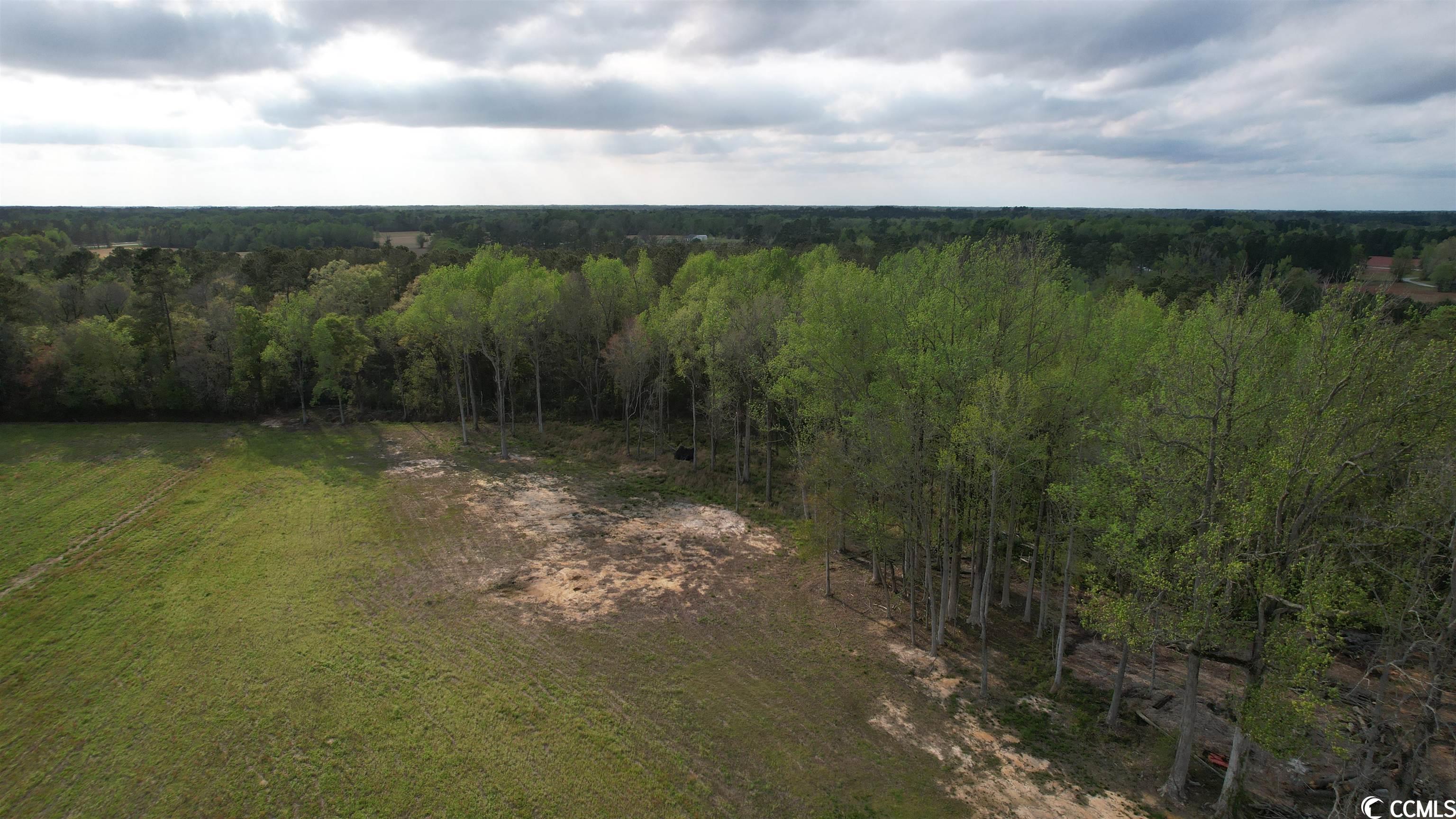 Tbd Sisters Road Loris, SC 29569 - Photo 10 of 24 Gallery Image 10