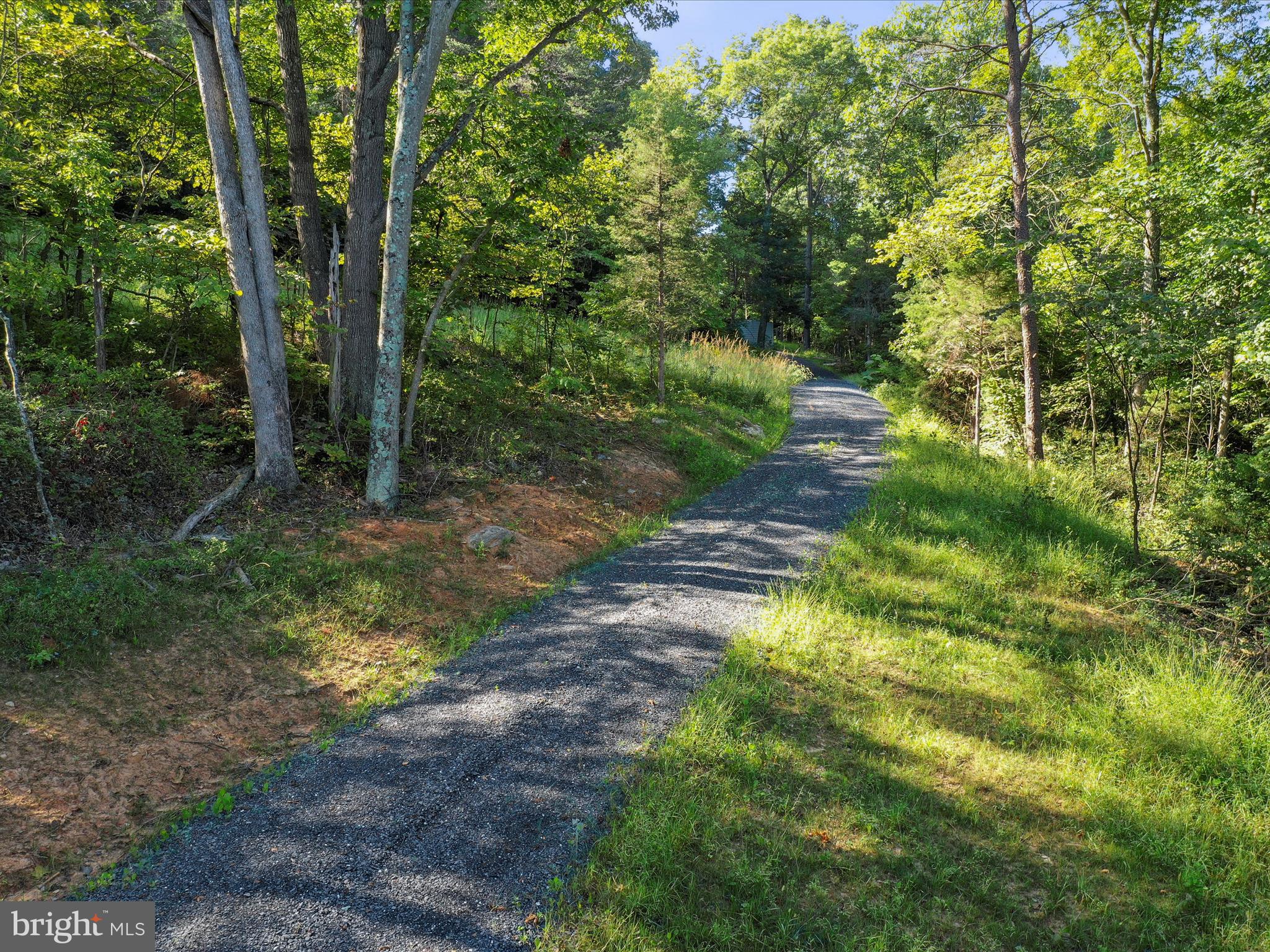 Tbd Oak Ridge Road Edinburg, VA 22824 - Photo 4 of 20 Gallery Image 4