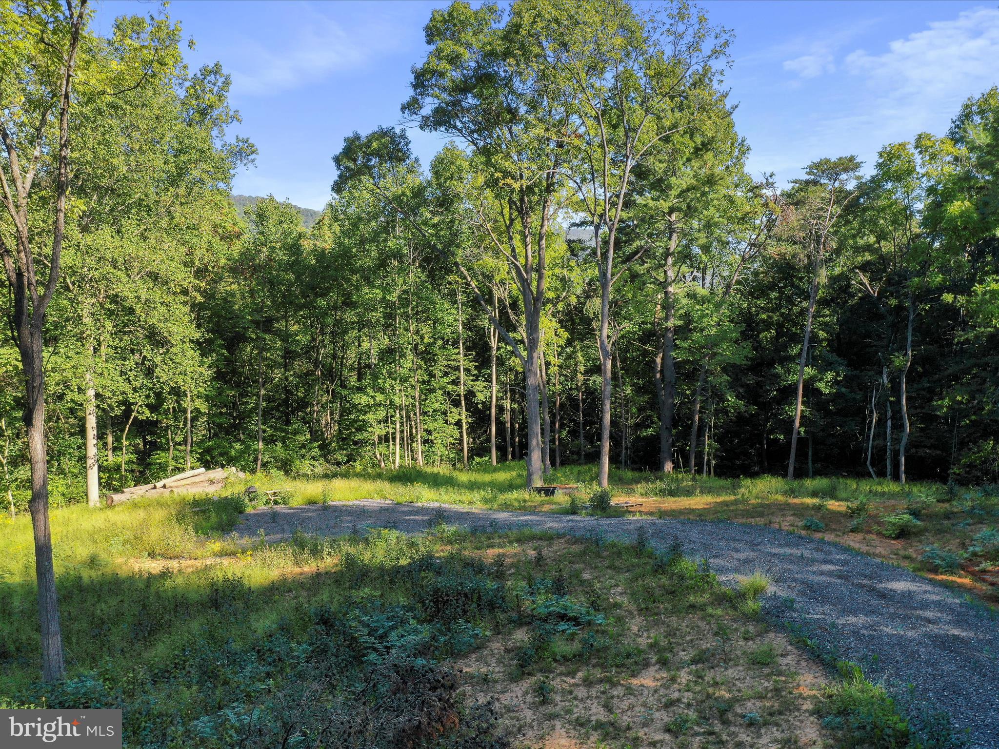 Tbd Oak Ridge Road Edinburg, VA 22824 - Photo 10 of 20 Gallery Image 10
