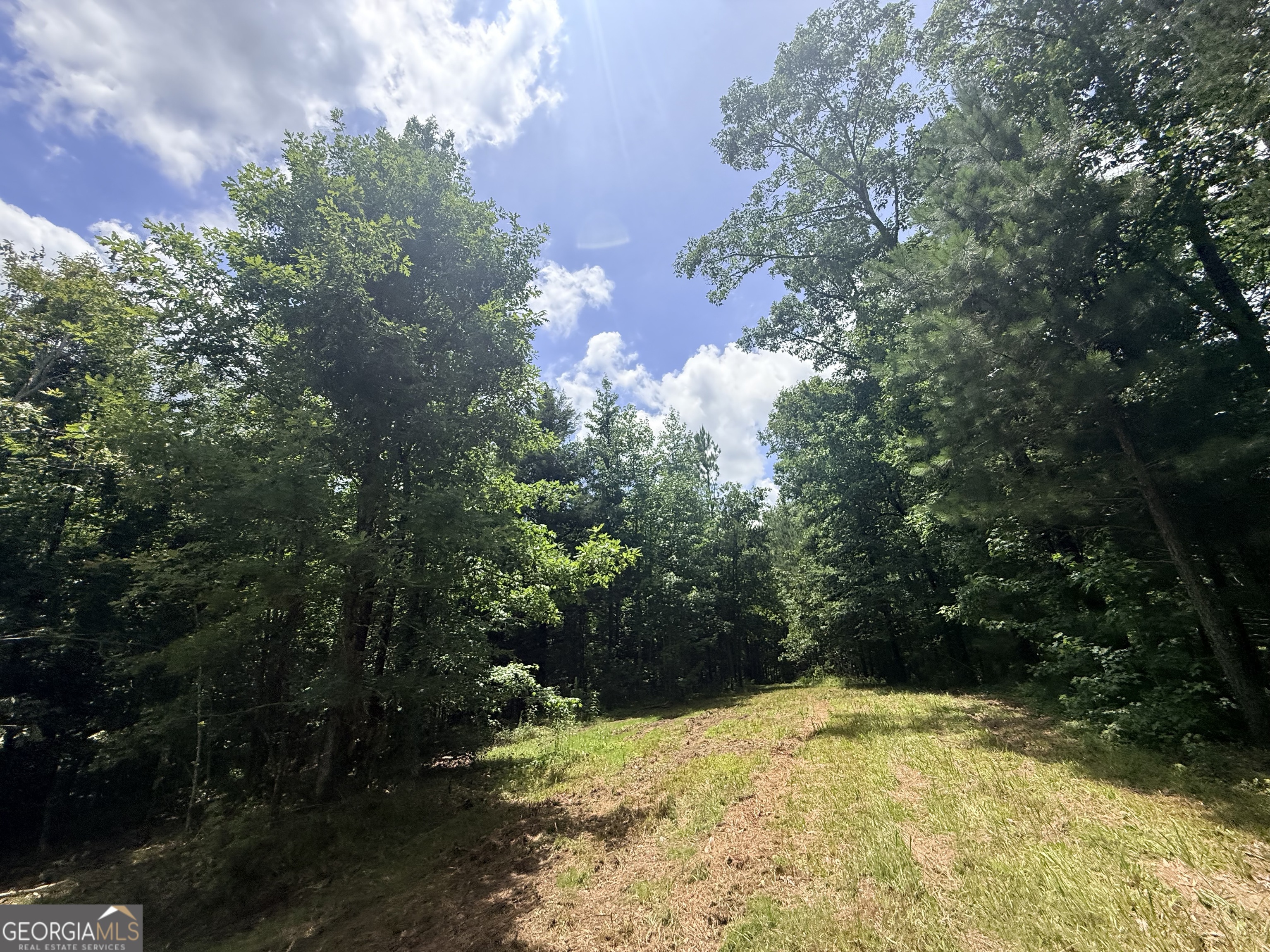2787 Cedar Creek Road Elberton, GA 30635 - Photo 5 of 88