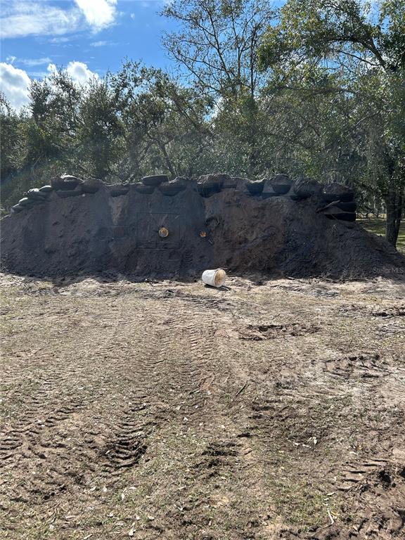 4981 Northwest Lyons Street Arcadia, FL 34266 - Photo 39 of 41