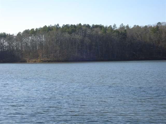 135 Dean Road, Unit LOT 20 Anderson, SC 29625 - Photo 4 of 13 Gallery Image 4