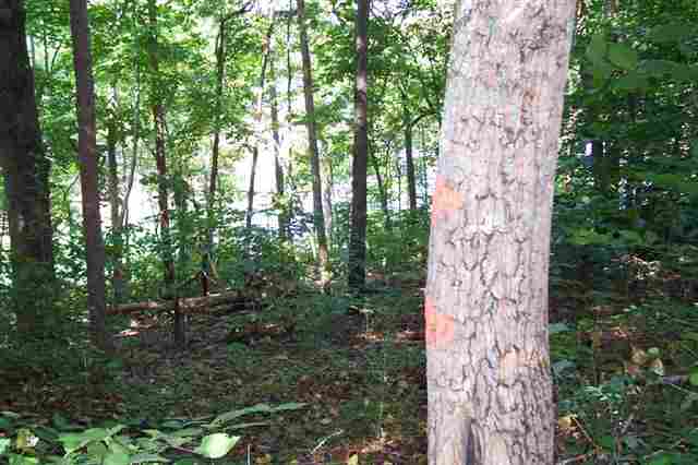 135 Dean Road, Unit LOT 20 Anderson, SC 29625 - Photo 5 of 13 Gallery Image 5