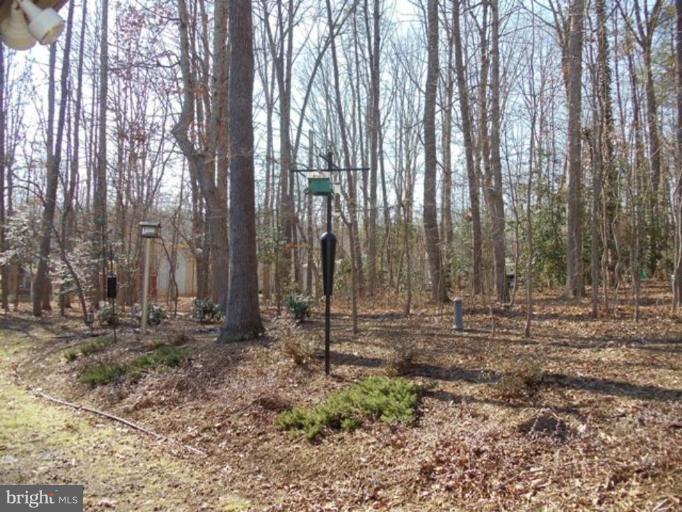 120 Indian Hills Road Locust Grove, VA 22508 - Photo 12 of 24 Exterior #4