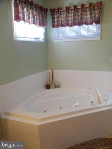 120 Indian Hills Road Locust Grove, VA 22508 - Photo 22 of 24 Master Bath