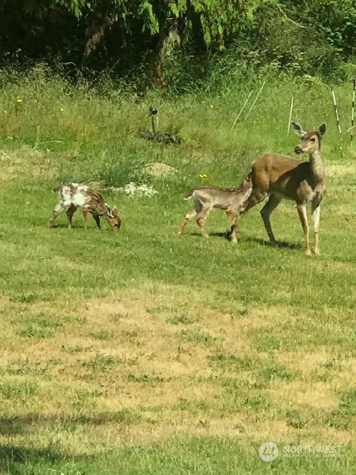 139 West Frostad Road Oak Harbor, WA 98277 - Photo 31 of 39