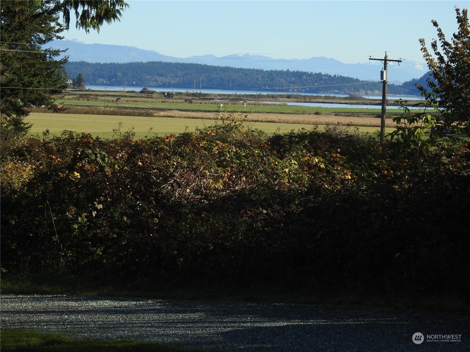 139 West Frostad Road Oak Harbor, WA 98277 - Photo 34 of 39 a view of a swimming pool and an outdoor space