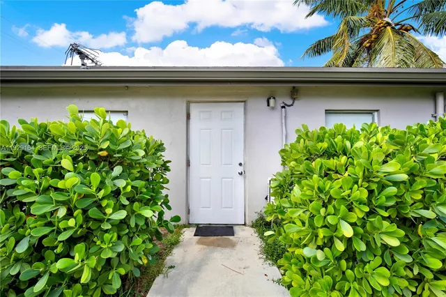 a close view of outdoor space