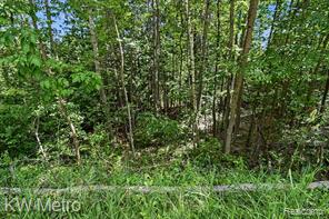 N/a Franklin Trail Sterling, MI 48749 - Photo 6 of 19