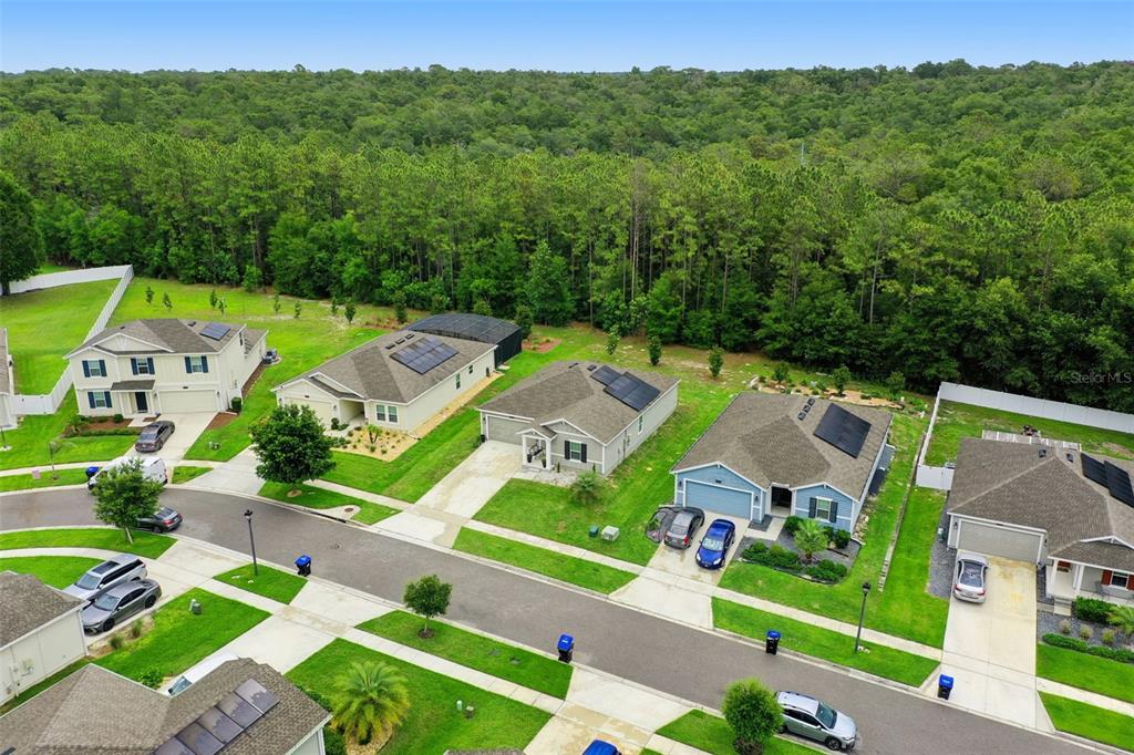 4810 Magnetite Loop Mount Mount Dora, FL 32757 - Photo 55 of 67
