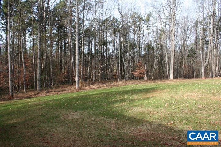 2960 South Blue Ridge Turnpike Rochelle, VA 22738 - Photo 32 of 33 a view of a park with large trees