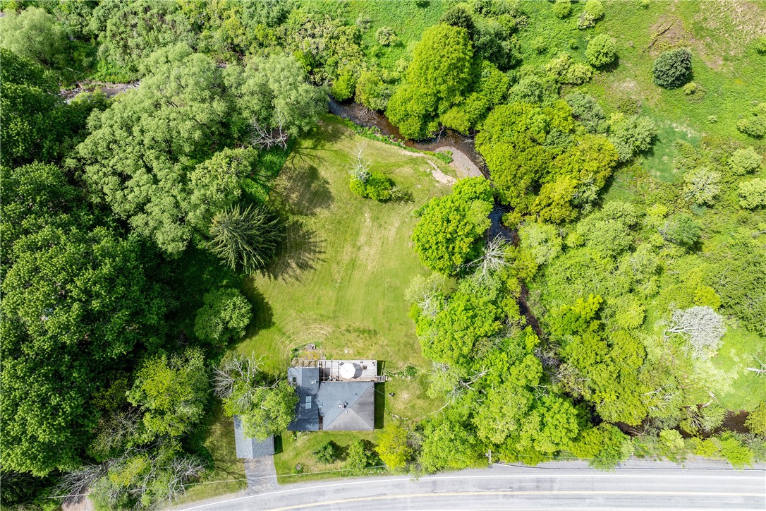 4923 County Highway Denver, NY 12421 - Photo 48 of 49