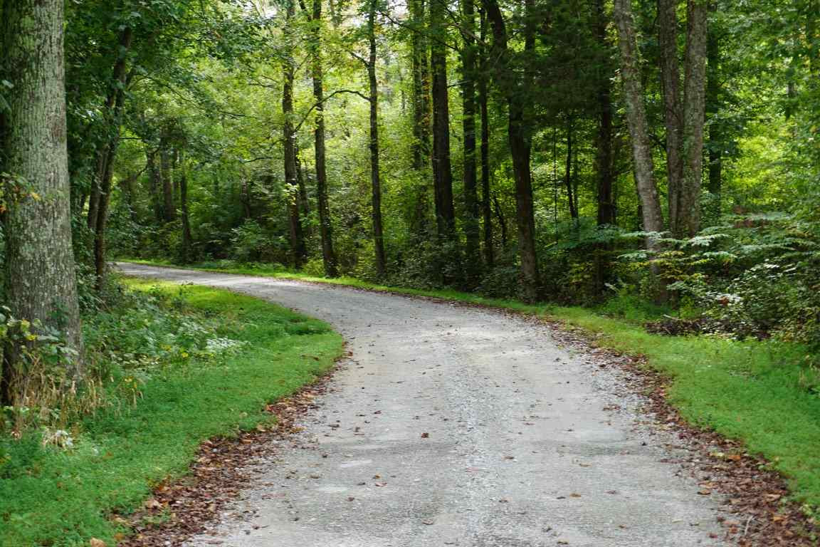 685 Duck Road Holladay, TN 38341 - Photo 1 of 1 Photo 1