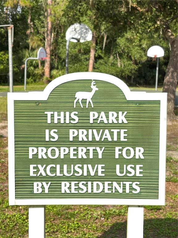 4038 Lithia Ridge Boulevard Valrico, FL 33596 - Photo 40 of 47