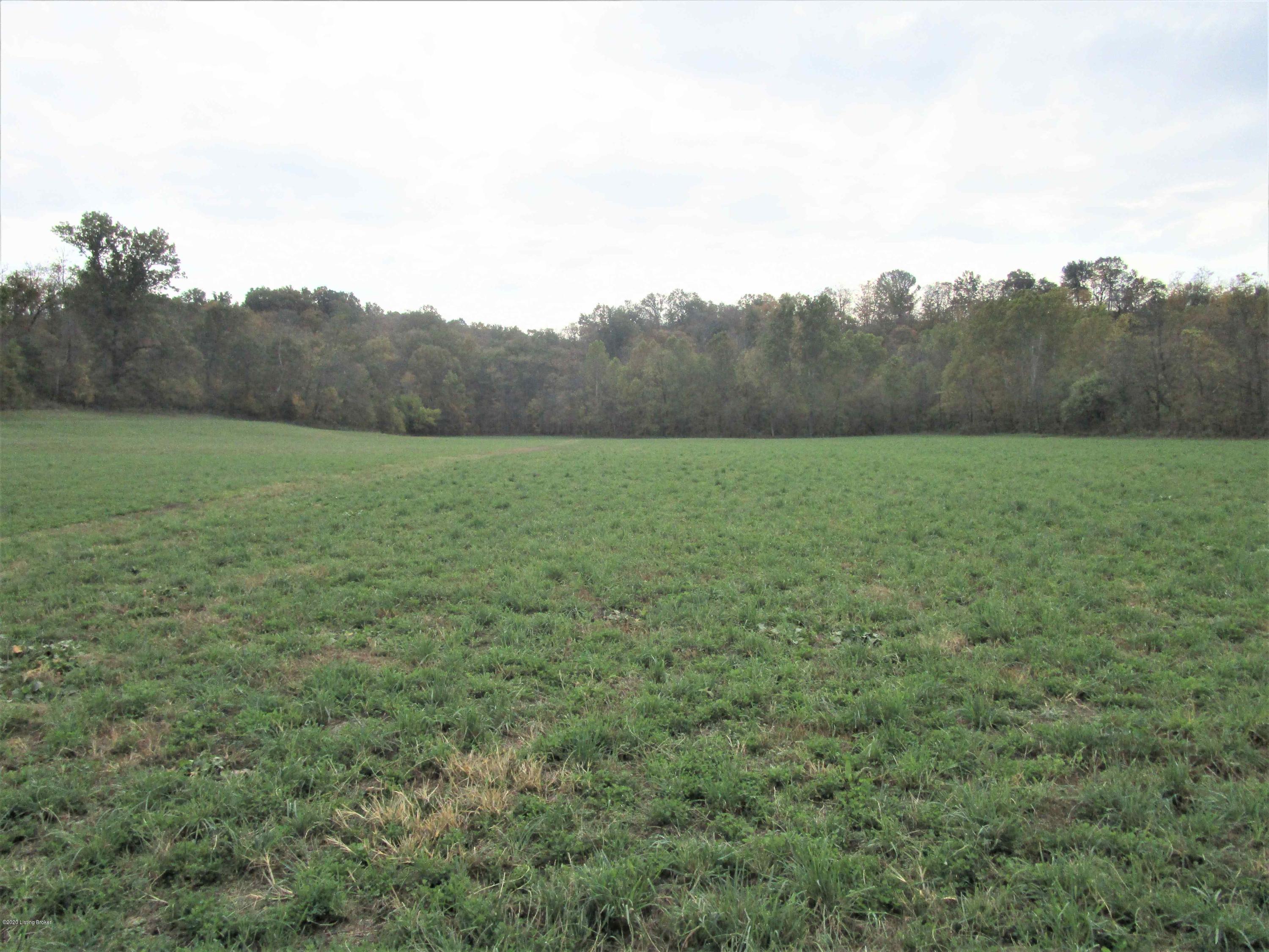 7016 Fallen Timber Road Campbellsburg, KY 40011 - Photo 10 of 46 IMG_2424