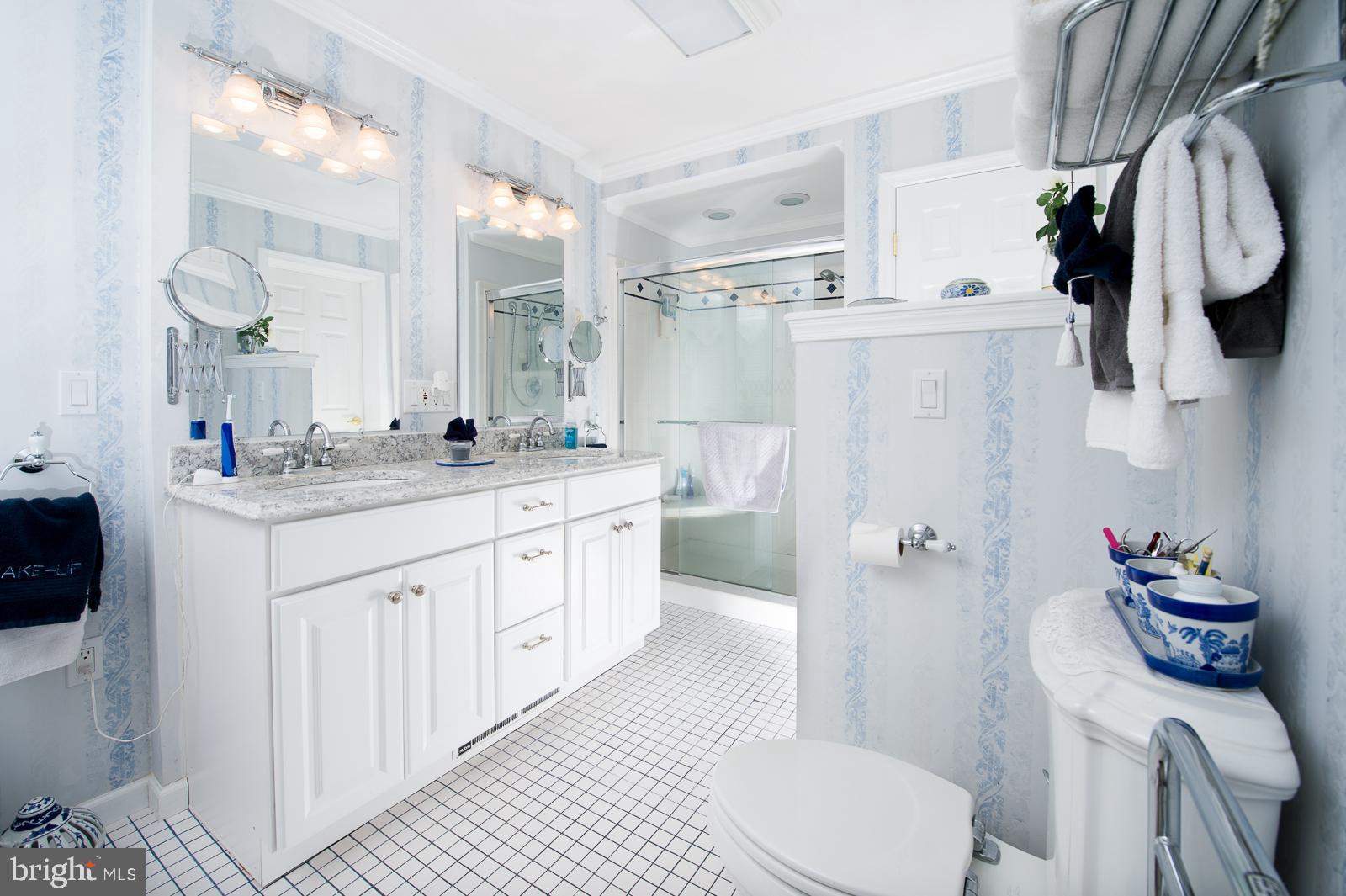 1251 Turkey Point Road Edgewater, MD 21037 - Photo 19 of 32 a bathroom with a sink a toilet and a mirror