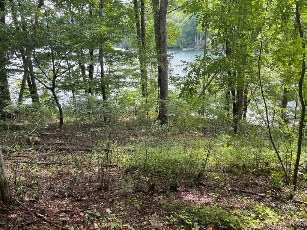 230 Walnut Tree Lane Topton, NC 28781 - Photo 36 of 37