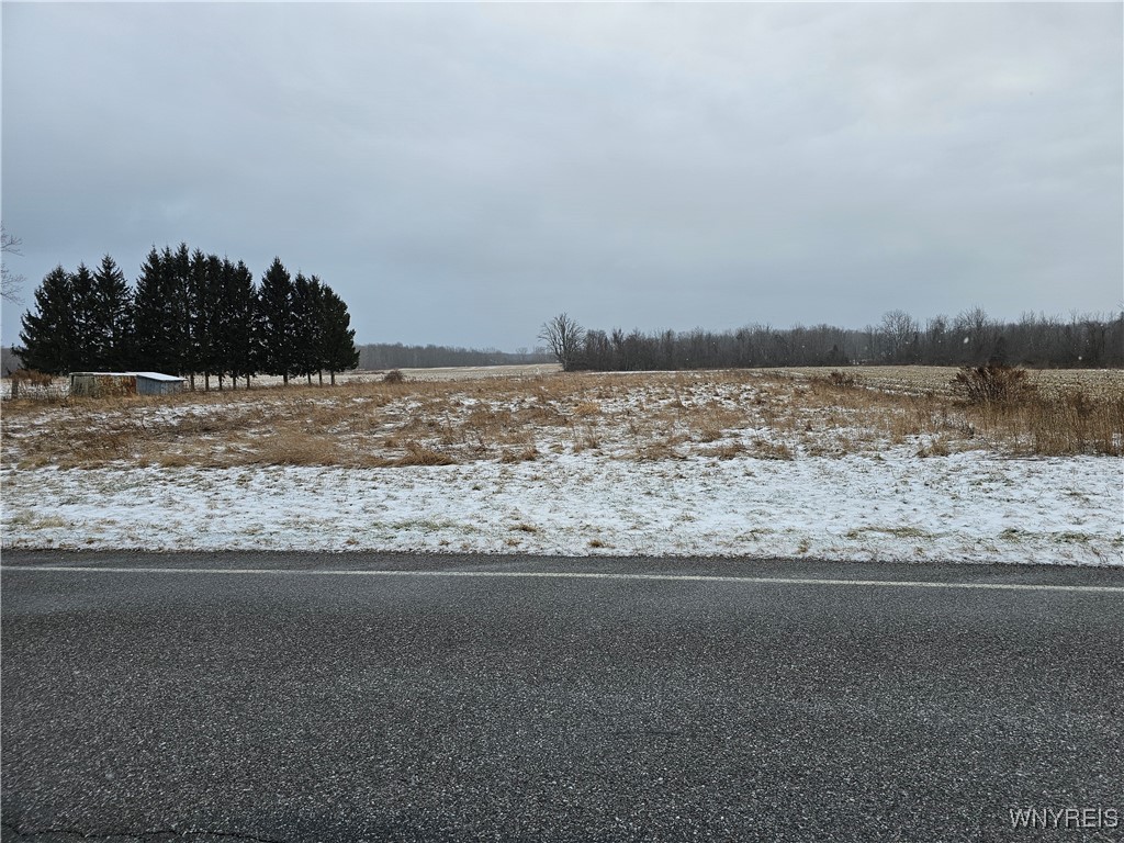 Steiner Road Akron, NY 14001 - Photo 2 of 2