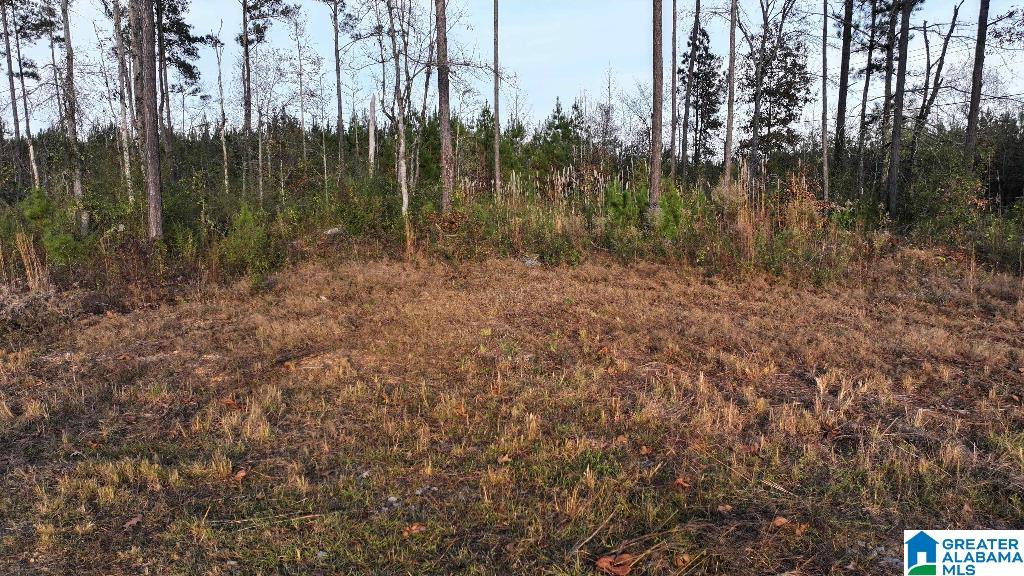 200 Kelly Creek Road Odenville, AL 35120 - Photo 19 of 47
