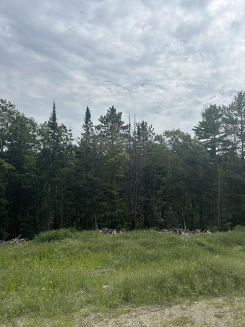 65 Wilder Hill Road Norridgewock, ME 04957 - Photo 1 of 2 IMG_3523