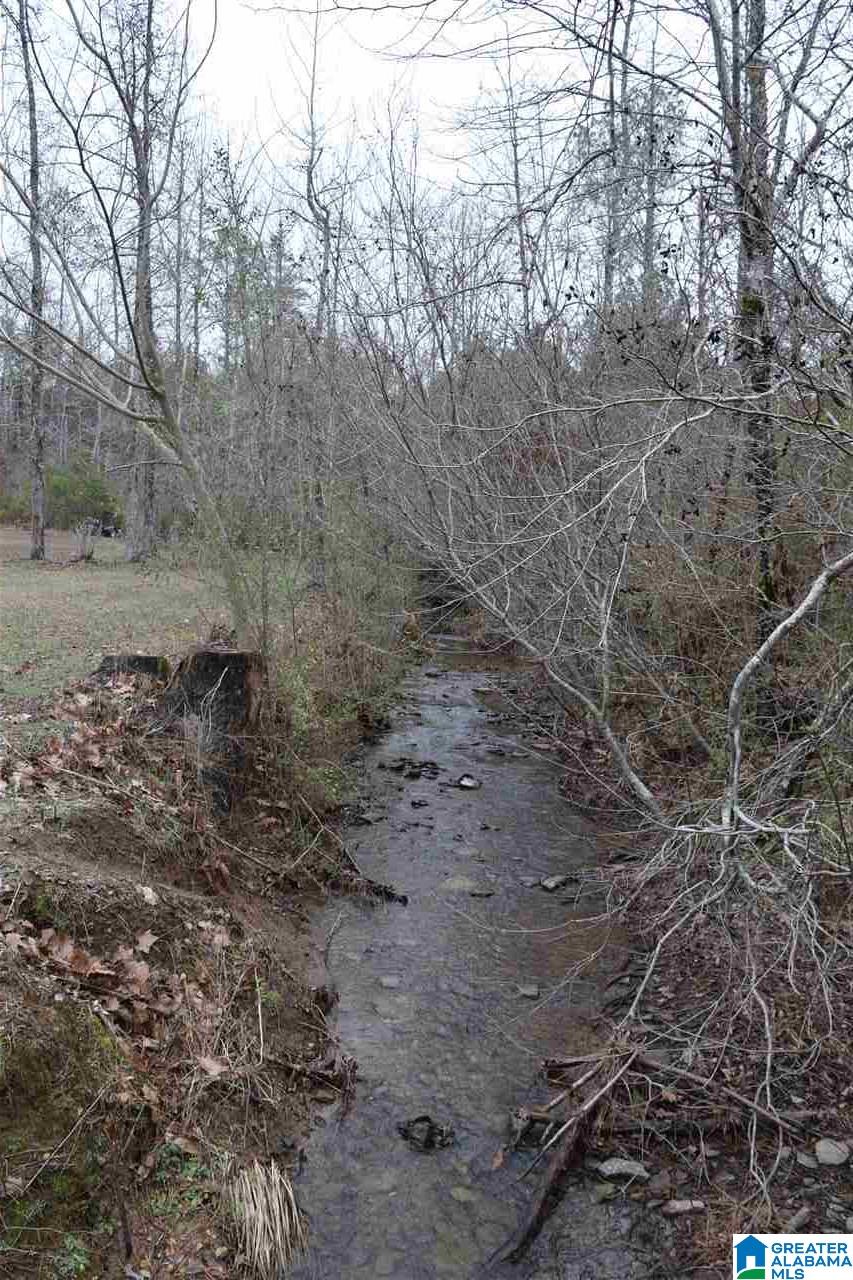 261 Overcreek Road Warrior, AL 35180 - Photo 7 of 49