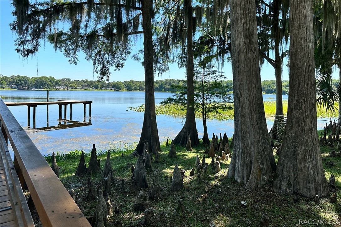 800 Balmoral Court Inverness, FL 34453 - Photo 70 of 72 Lake