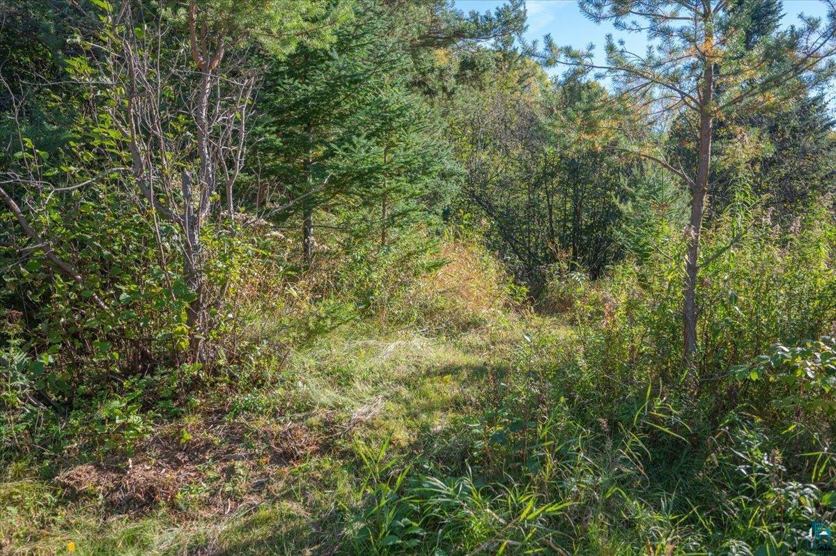 5570 Lester River Road Duluth, MN 55804 - Photo 11 of 11 View of woods