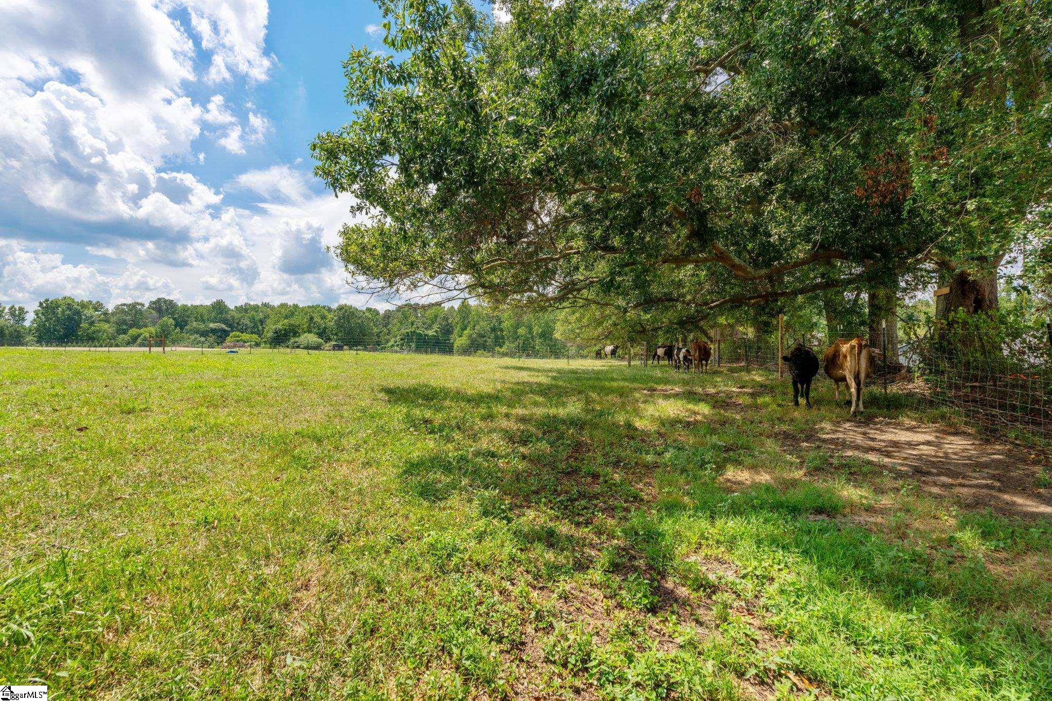 0 Old Furnace Road Chesnee, SC 29323 - Photo 27 of 50