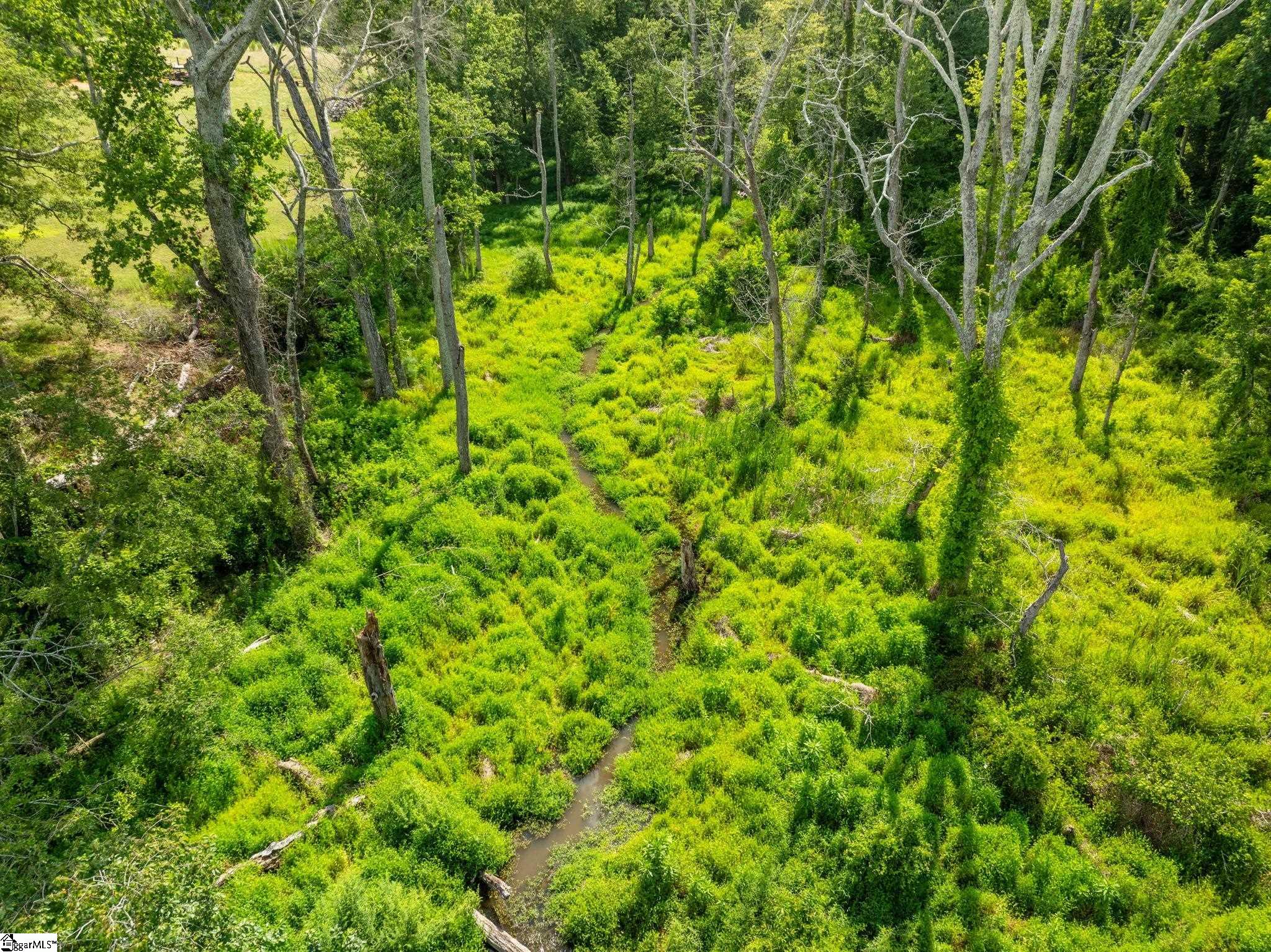 0 Old Furnace Road Chesnee, SC 29323 - Photo 32 of 50