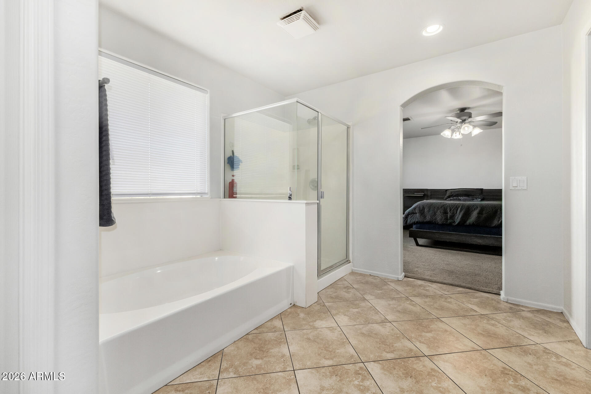 22142 West Moonlight Path Buckeye, AZ 85326 - Photo 28 of 49 28 - Moonlight