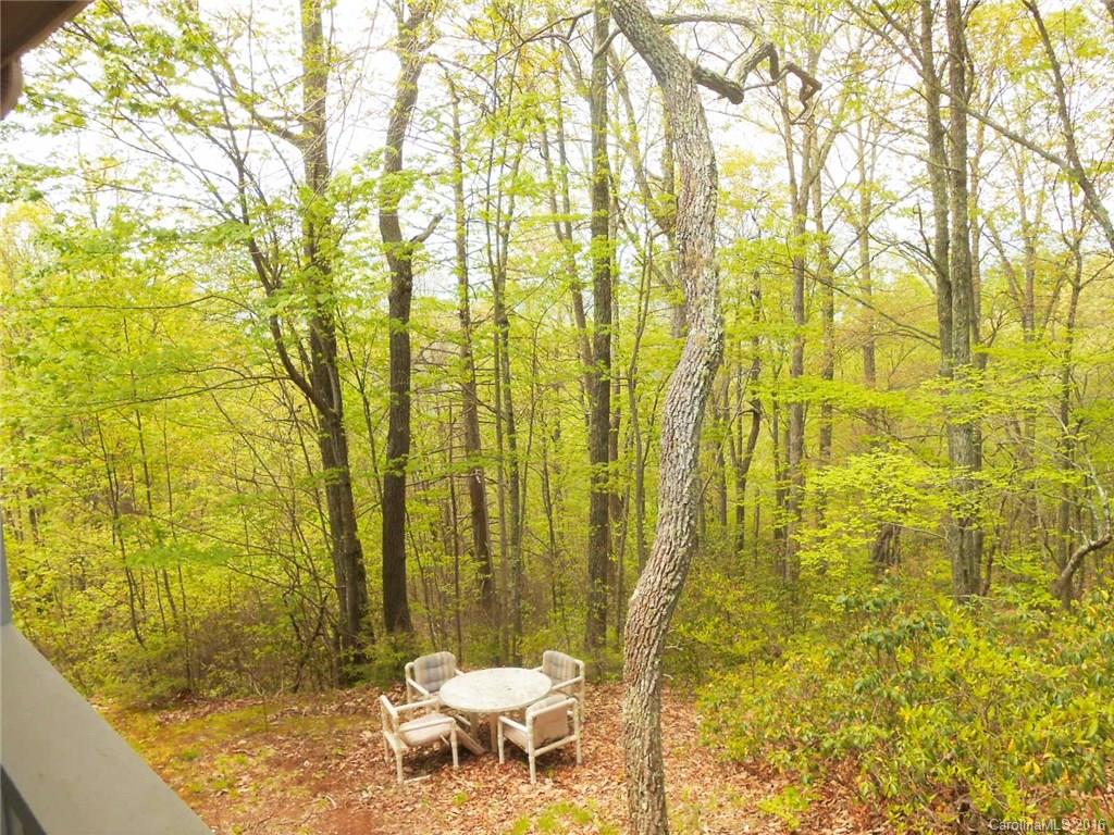 161 Smokey Ridge Loop, Unit 202 Waynesville, NC 28786 - Photo 20 of 21